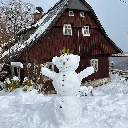 Dağ evi U Ladi Paseky nad Jizerou